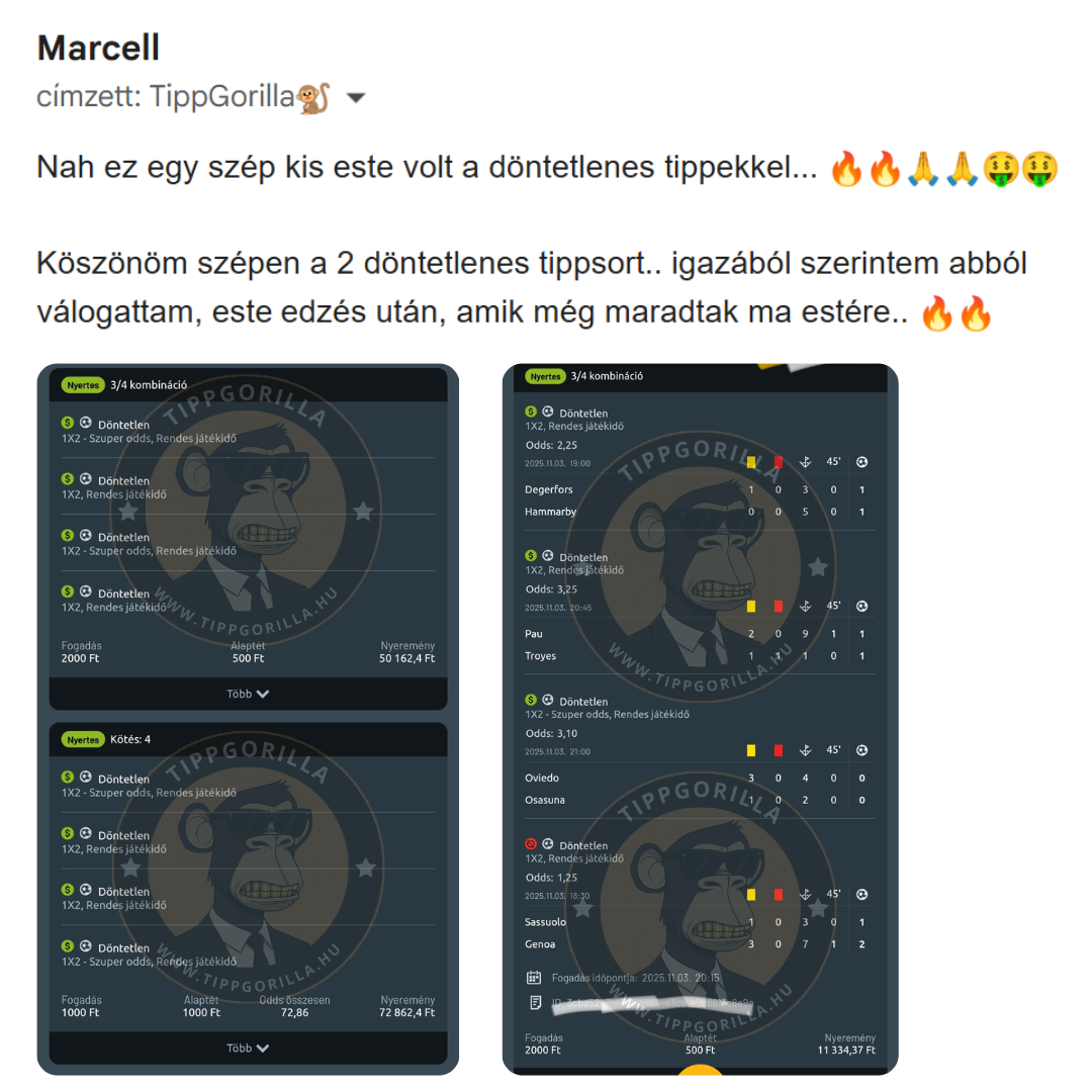 Tippgorilla (26)
