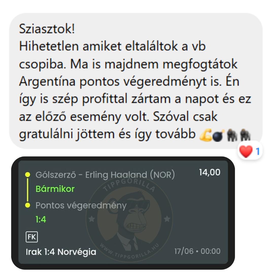 Tippgorilla (81)